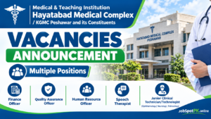 Hayatabad Medical Complex Jobs 2026
